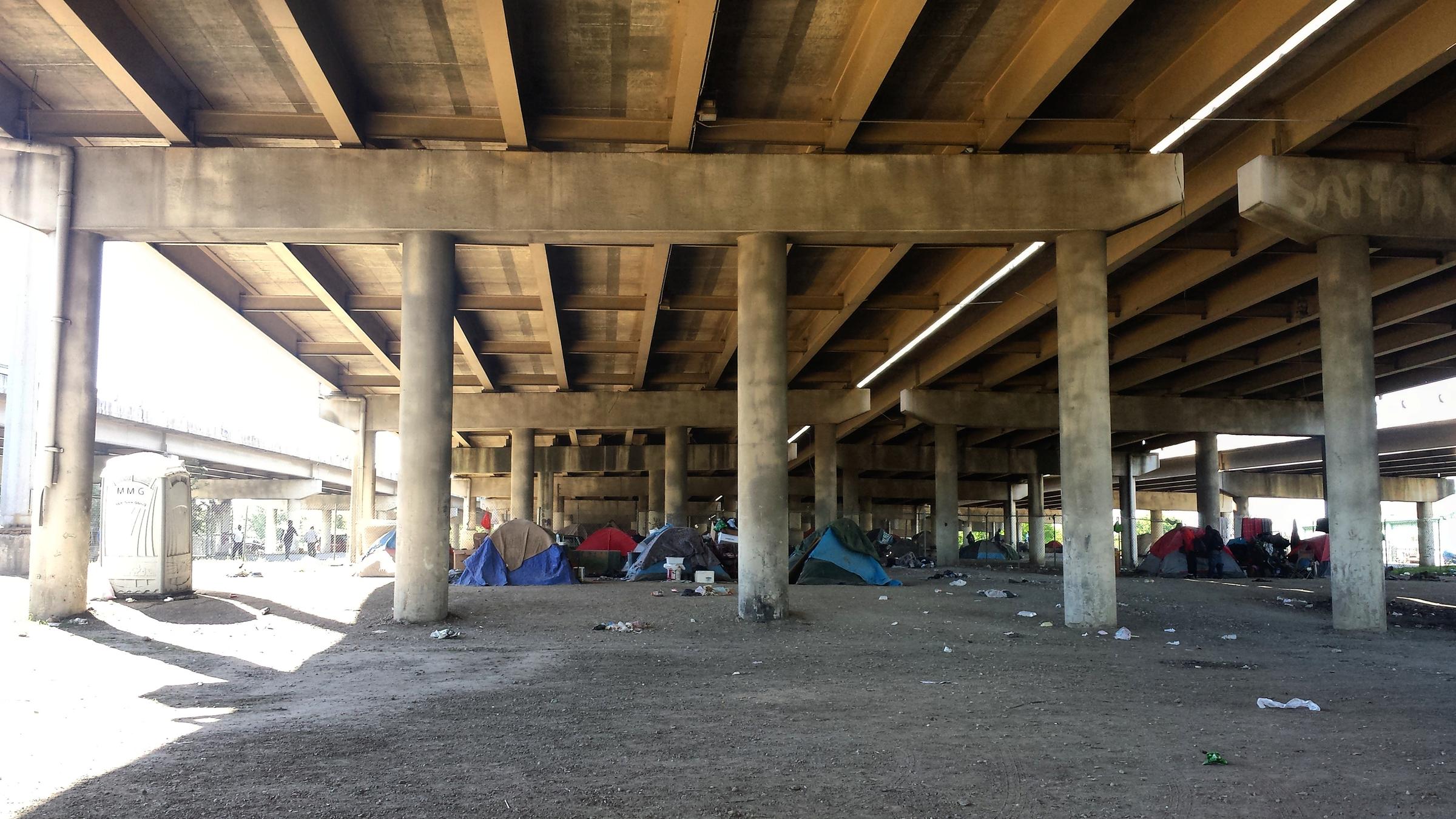 A Reflection on the Point in Time Count